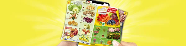 Diese Grafik zeigt auf gelbem Hintergrund mit strahlenf&ouml;rmigem Lichteffekt ein Smartphone in zwei H&auml;nden, auf dem ein ge&ouml;ffneter Netto-Prospekt dargestellt ist. Auf der linken Prospektseite steht &bdquo;Der Ort mit knackigen Preisen&ldquo; und es sind verschiedene Obst- und Gem&uuml;seartikel zu sehen, darunter Salat, Kartoffeln, Champignons, Zwiebeln, Orangen, Birnen, &Auml;pfel und Bananen. Auf der rechten Seite steht &bdquo;Den ganzen August sparen&ldquo; und es sind Paprika, Karotten, Trauben, Heidelbeeren, Tomaten sowie mehrere Blumen- und Pflanzenangebote abgebildet. Unten ist ein wei&szlig;er Button mit rotem Rahmen und roter Aufschrift &bdquo;Zum digitalen Wochenprospekt&ldquo; zu sehen, der deutlich zum Klicken einl&auml;dt.