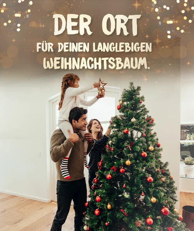 Der Ort für deinen langlebigen Weihnachtsbaum.