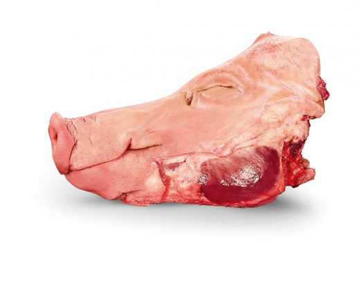Kopf vom Schwein, ohne Backe