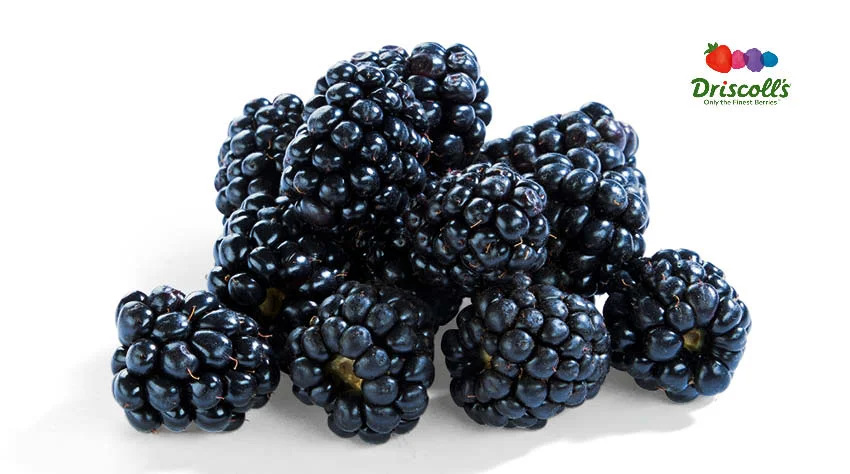 Brombeeren, Portugal, Kl. I, 125 kg Schale f&uuml;r 1.49 &euro;.