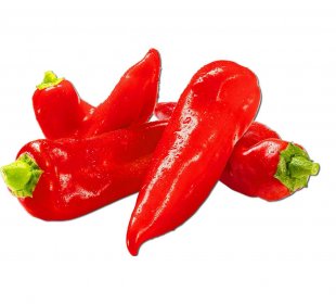 Spitzpaprika rot