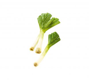 Lauch