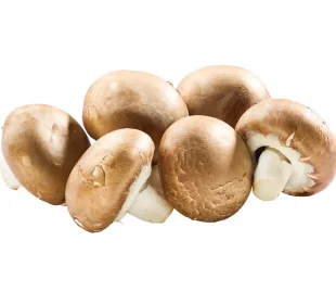 Champignon braun