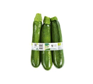 Zucchini