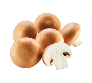 Champignon braun