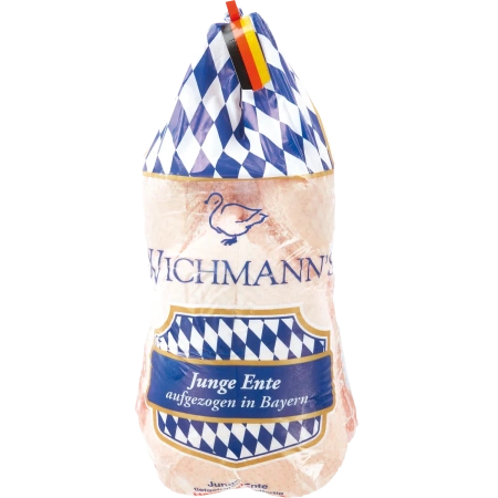 Junge Bayerische Ente