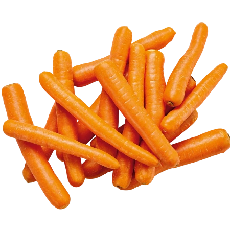 Heimat-Logo-Neu Möhren