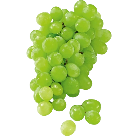 Trauben hell