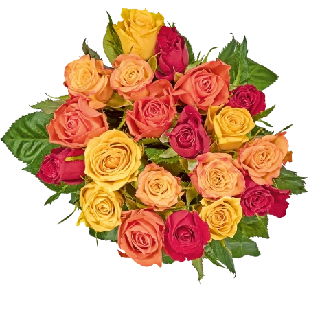 Rosen Ensemble