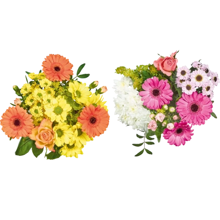 Alles Liebe