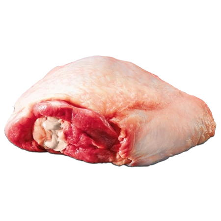 Putenoberkeule