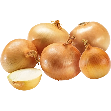 Zwiebeln