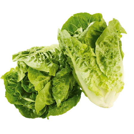 Mini-Romanasalat