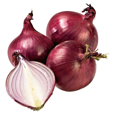 Zwiebeln rot