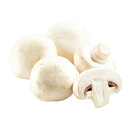 Champignons weiß