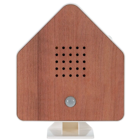 Natur-Geräusche-Box