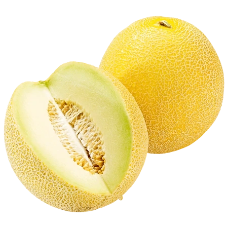 Galiamelonen
