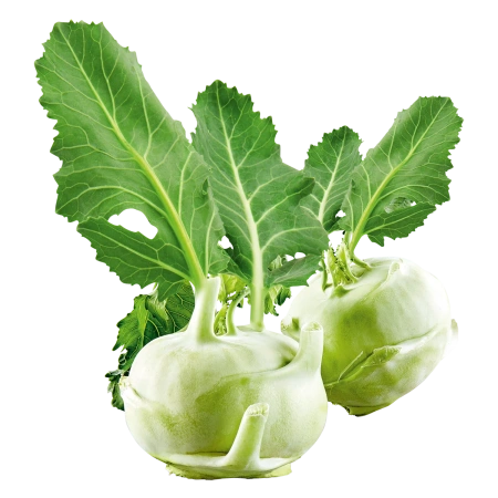 Kohlrabi