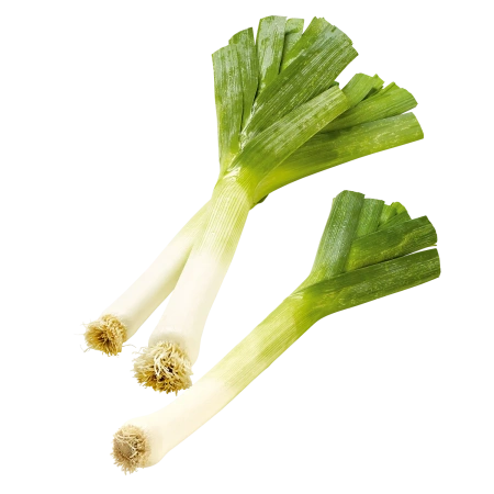 Lauch
