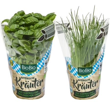 Kräutertopf