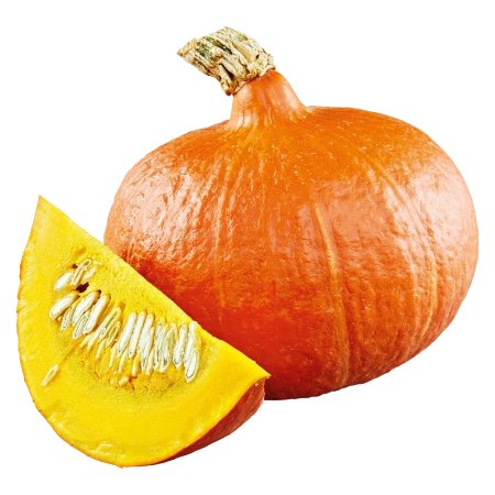 Hokkaido-Kürbis