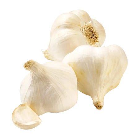 Knoblauch