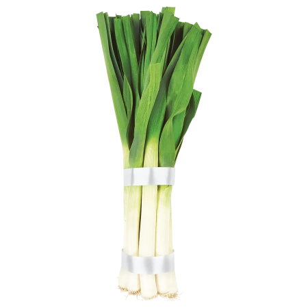 Lauch