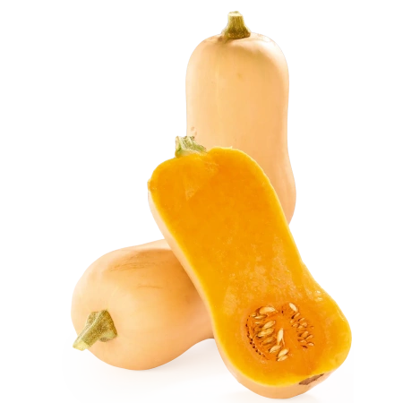 Speisekürbis Butternut