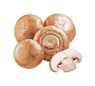 Champignon braun