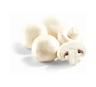 Champignons weiß