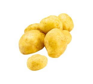 Speisekartoffeln Pfälzer Grumbeere