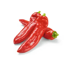 Spitzpaprika rot