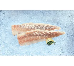 Frisches Kabeljaufilet