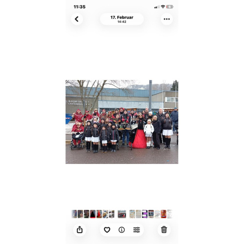 Logo Carnevalsfreunde Württemberg e. V.