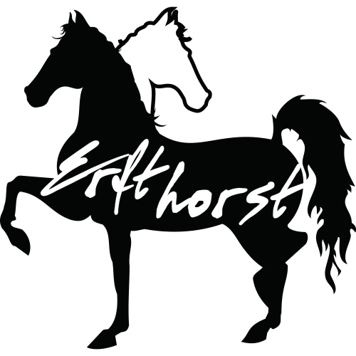 Logo Reit- und Voltigierverein Erfthorst - Bad Münstereifel e.V.