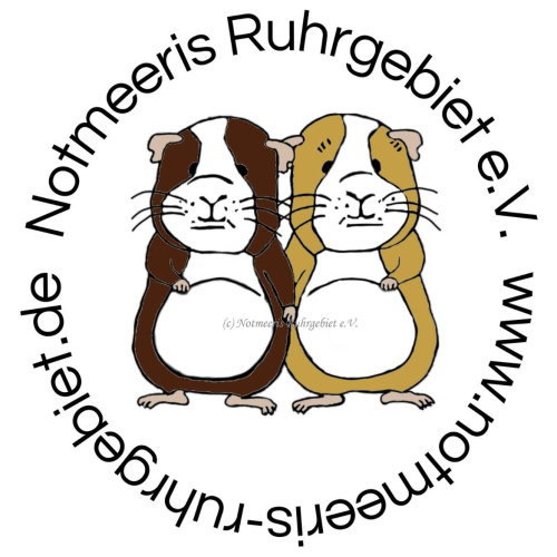 Logo Notmeeris Ruhrgebiet e. V.