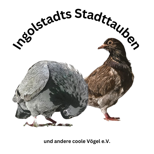 Logo Ingolstadts Stadttauben und andere coole Vögel e. V.