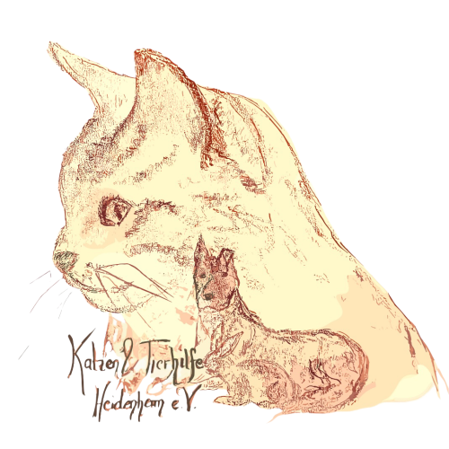 Logo Katzen- und Tierhilfe Heidenheim e. V.