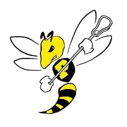 Logo Paderborn Hornets Lacrosse e. V.