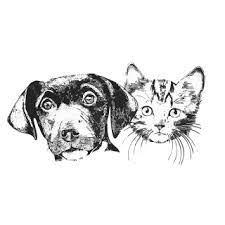 Logo Tierschutzverein Heidekreis Süd e. V.