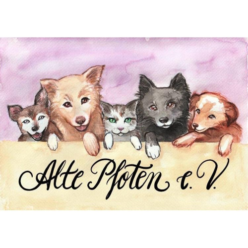Logo Alte Pfoten e. V.