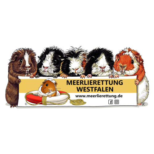 Logo Meerlierettung