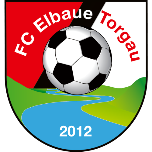 Logo FC Elbaue Torgau e. V.