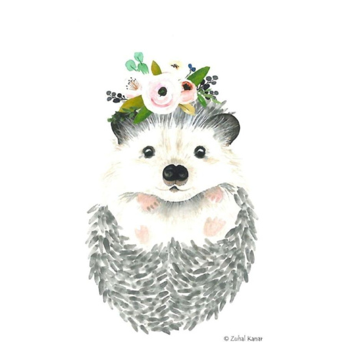 Logo Igelfreunde ChiemSEE e. V.