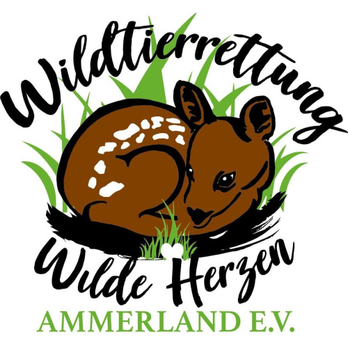 Logo Wildtierrettung "Wilde Herzen" Ammerland e. V.